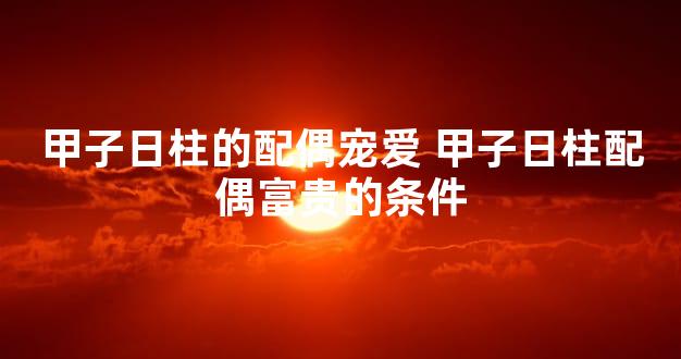 甲子日柱的配偶宠爱 甲子日柱配偶富贵的条件